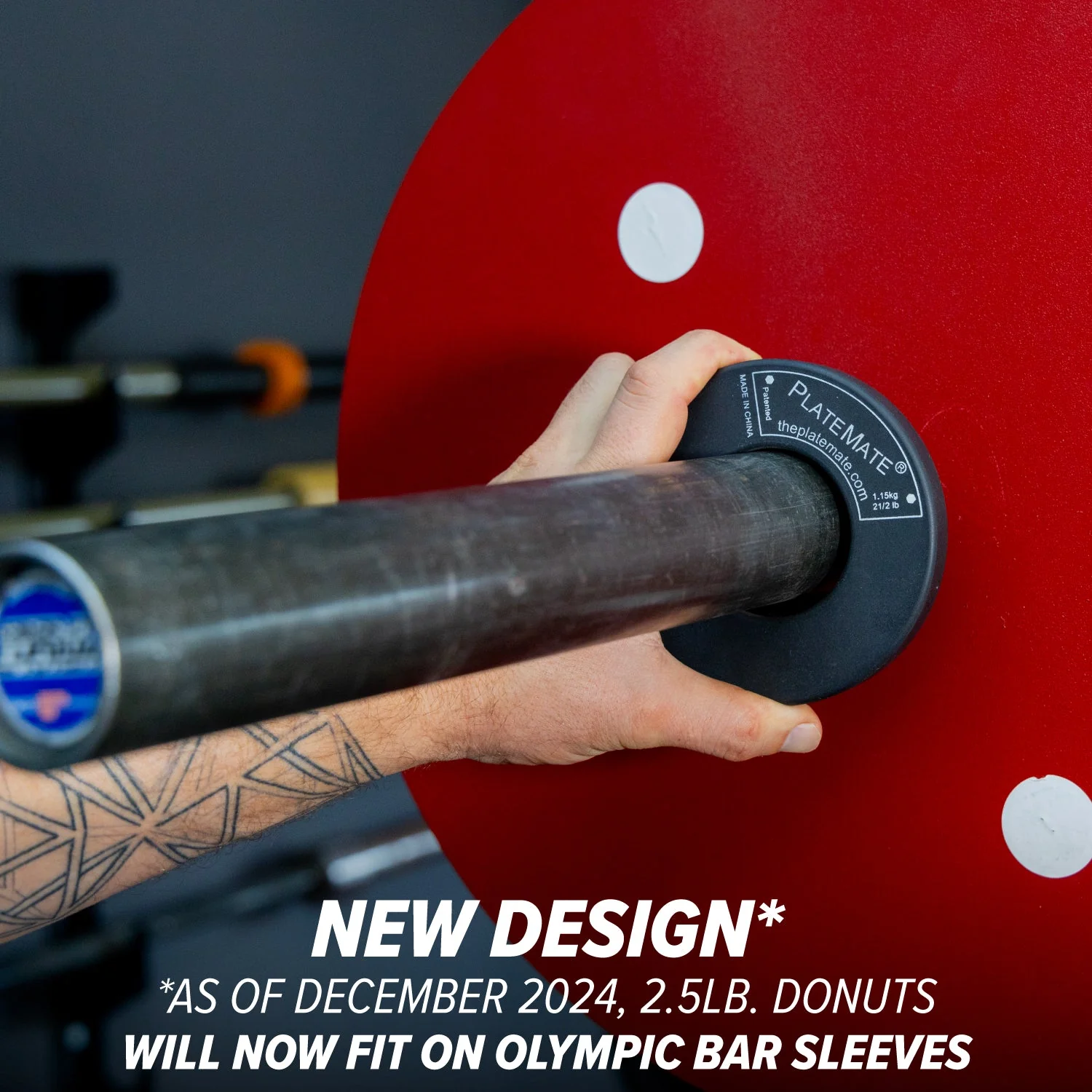 Serious Steel Fitness - 2.5 lb donut platemate (pair) - Image 4
