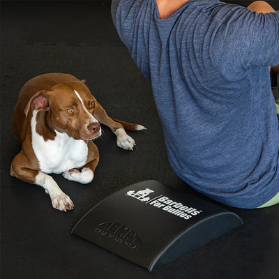 AbMat - Barbells for Bullies - Image 2