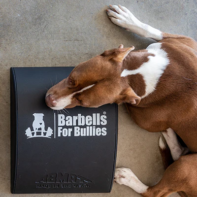 AbMat - Barbells for Bullies - Image 3