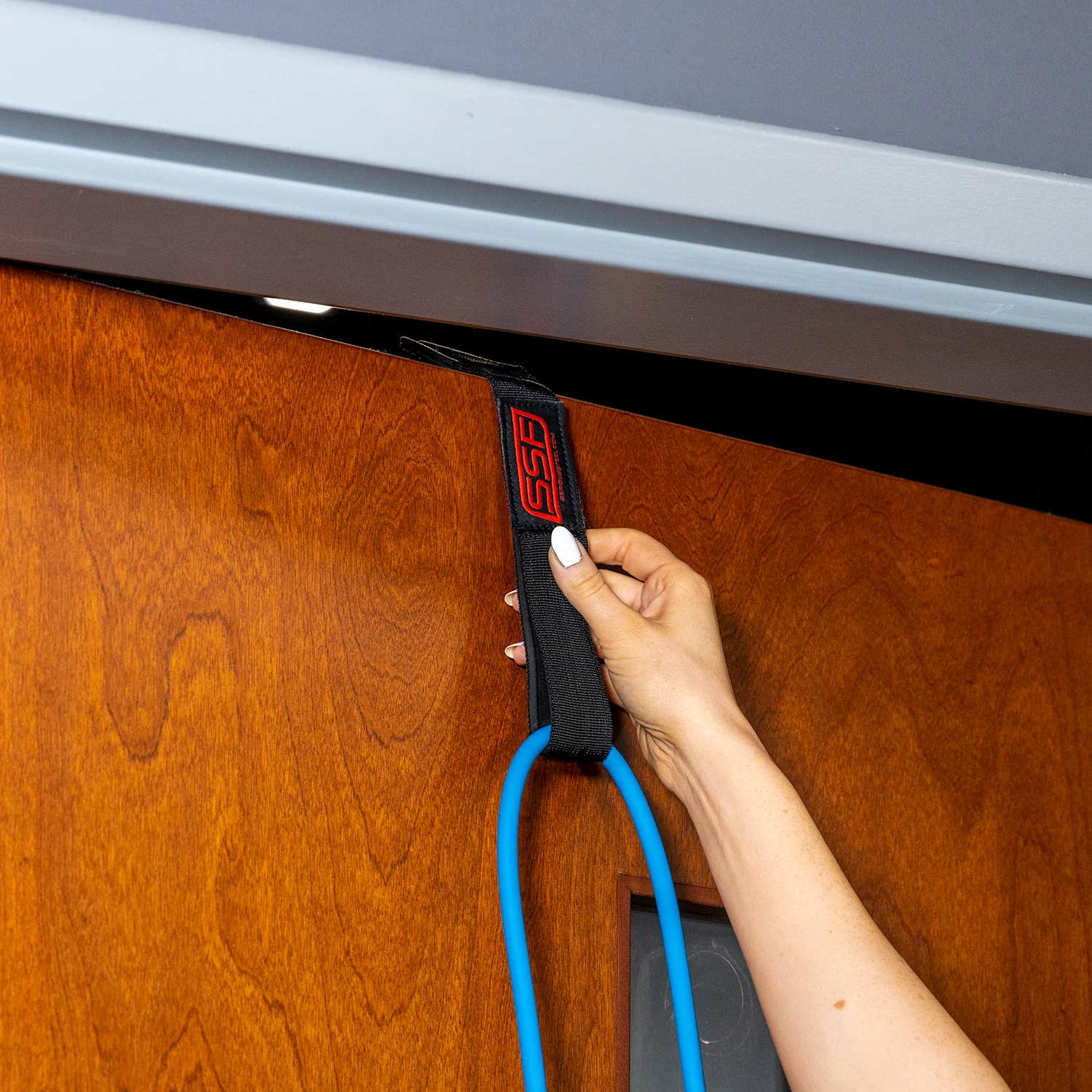 Serious Steel Fitness - Basic Resistance Band Door Anchor - Image 2