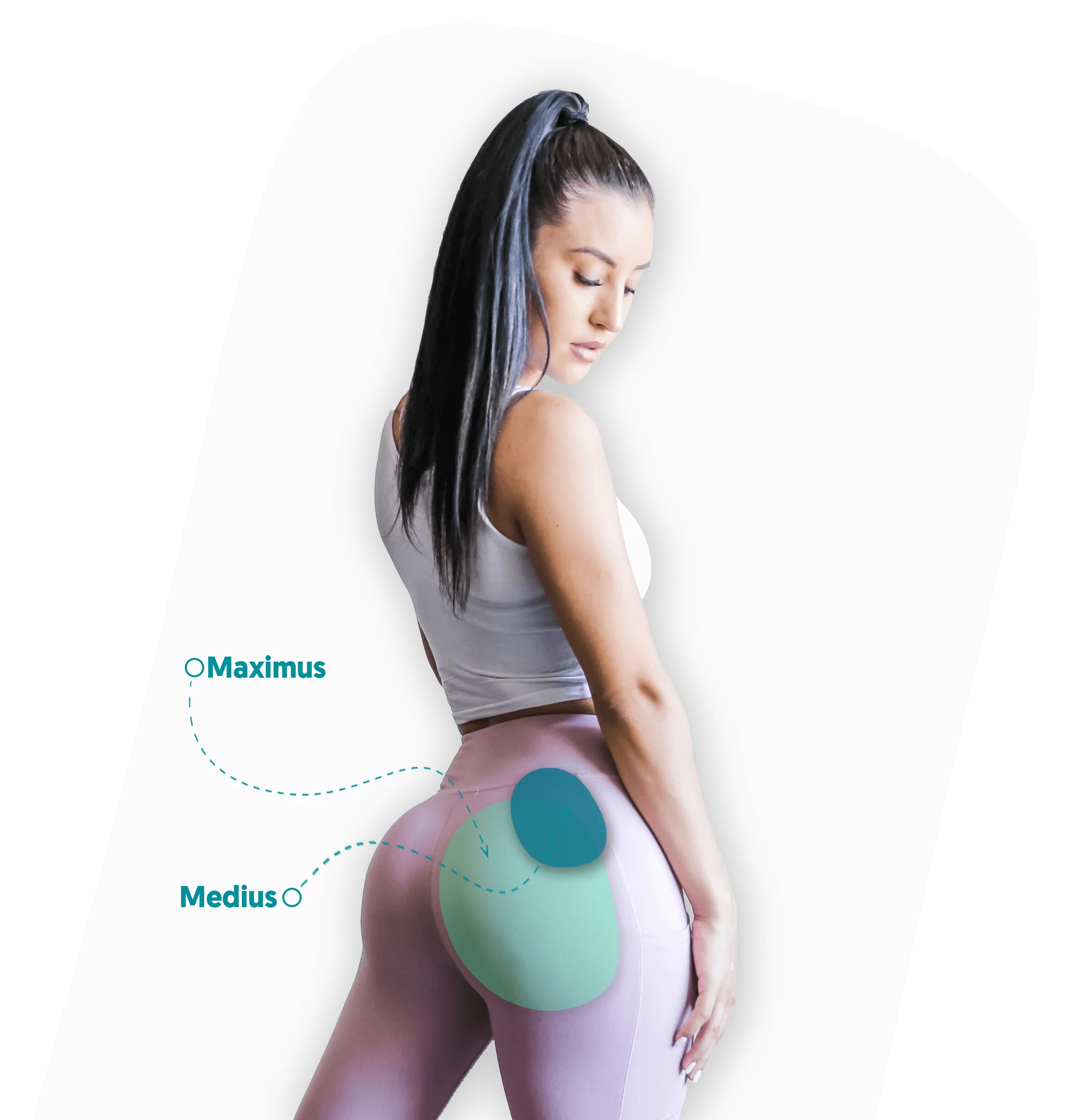 FrogWedge - FrogWedge Glute Builder - Image 4