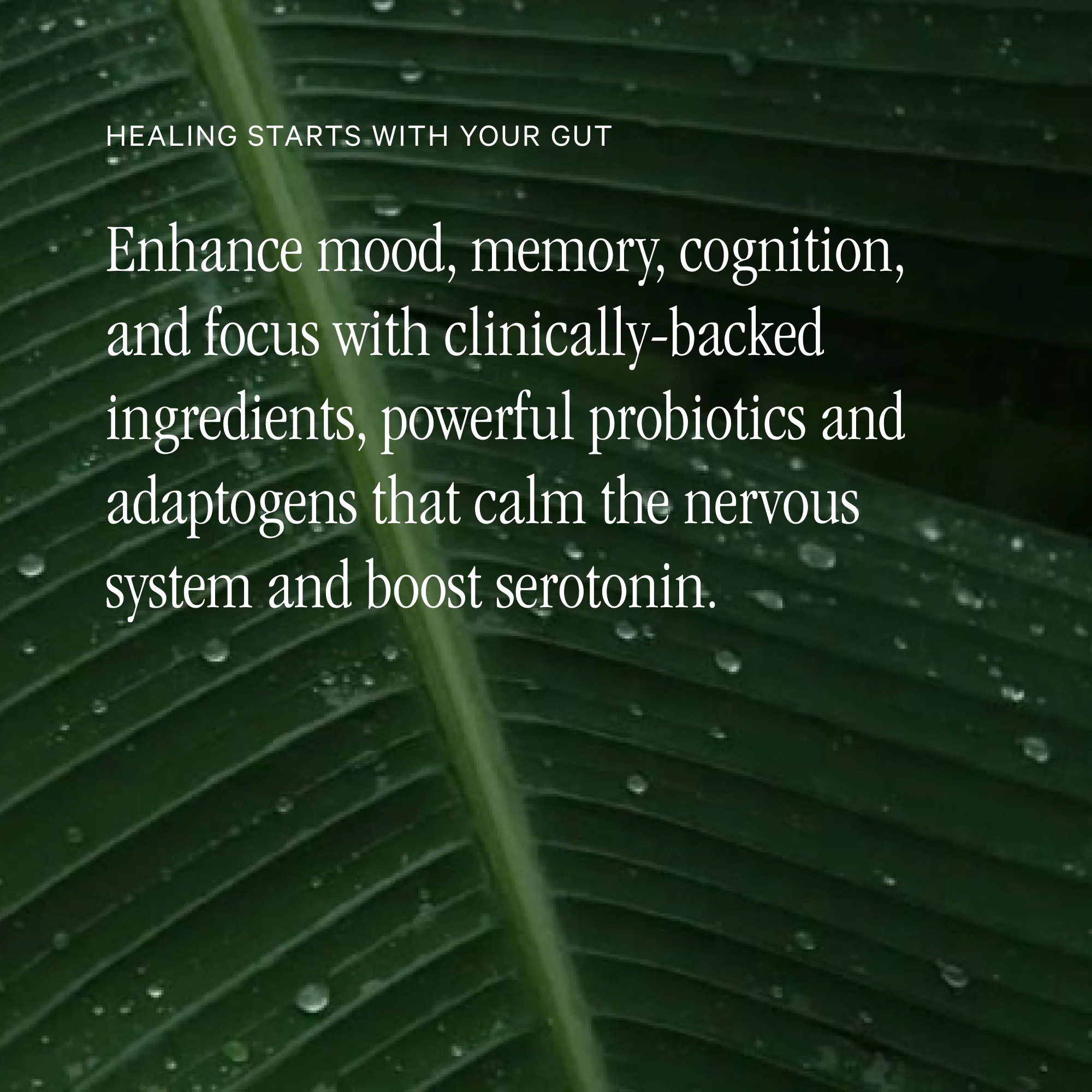 Juna - Gut Therapy - Image 2