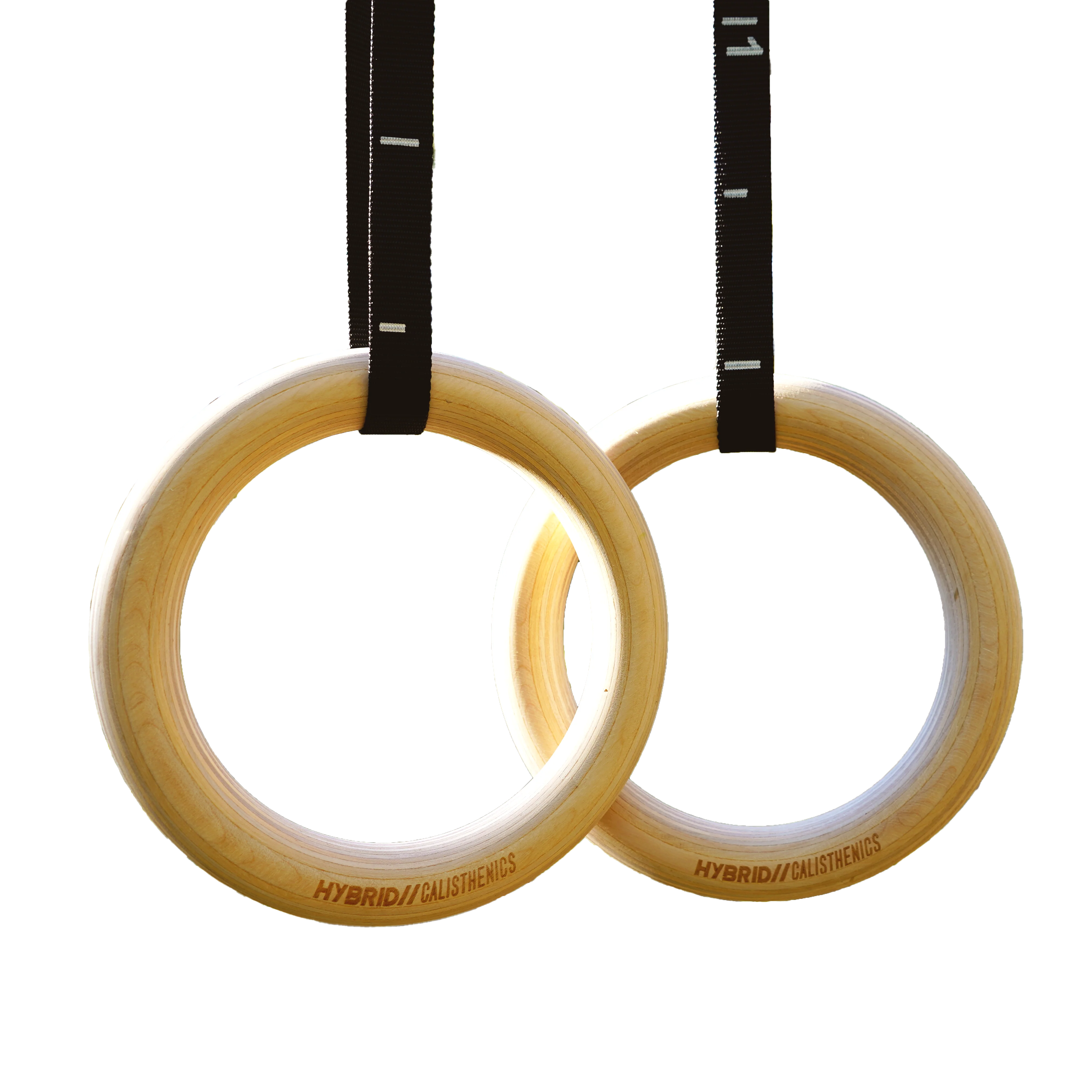 Hybrid Calisthenics Shop - Gymnastic Rings (Pre-Order)