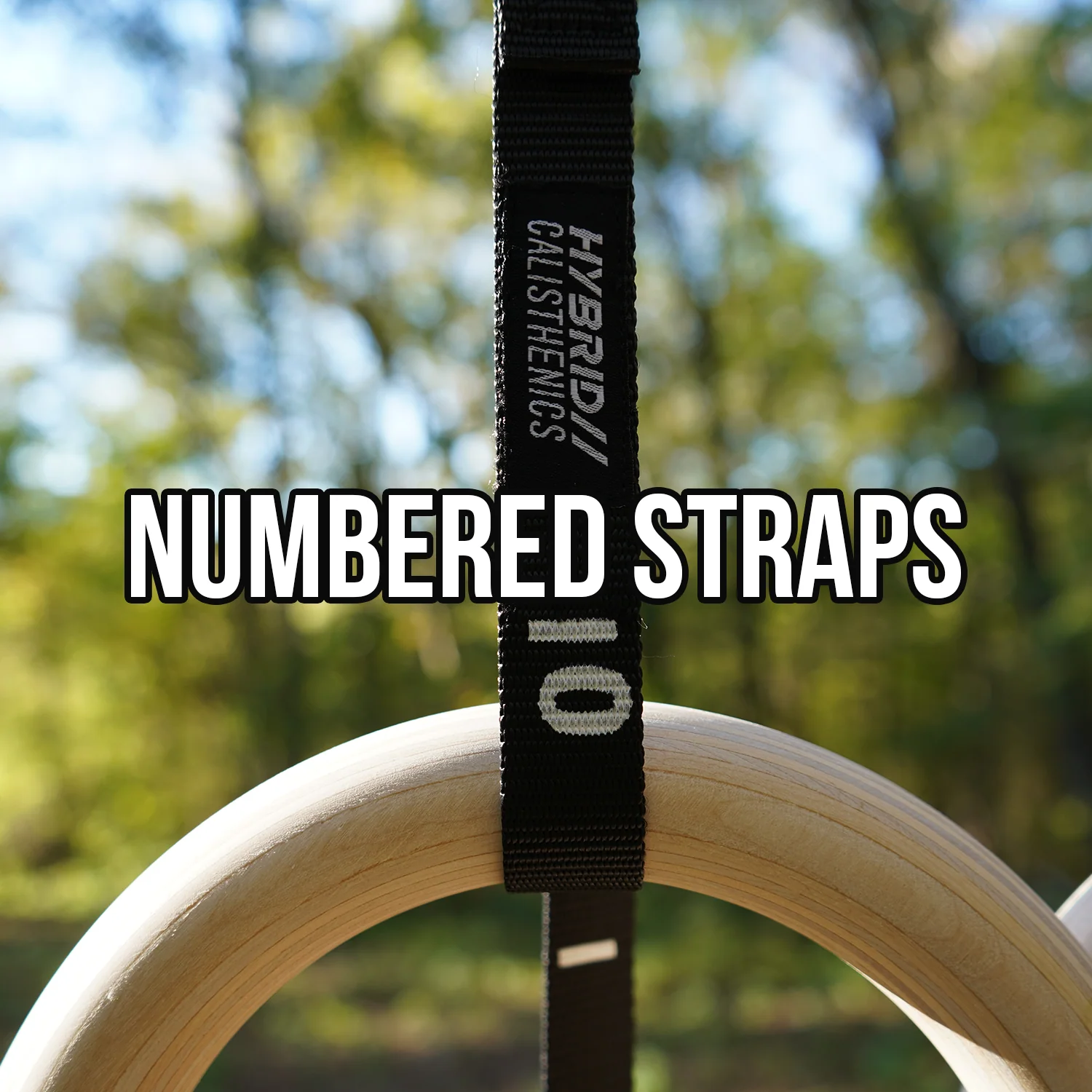 Hybrid Calisthenics Shop - Gymnastic Rings (Pre-Order) - Image 5