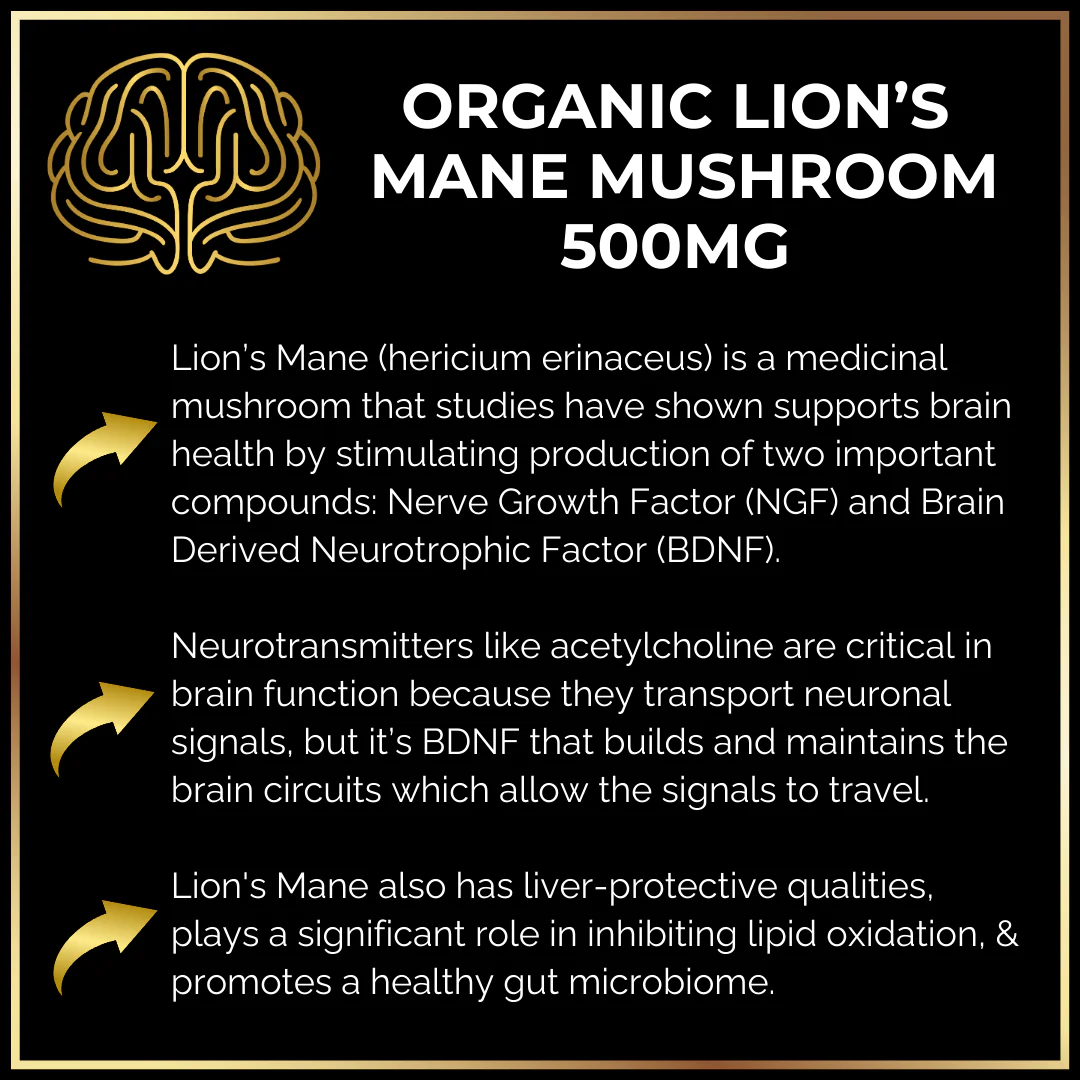 Keto Brainz Nootropics - Keto Brainz 2-Pack - Image 6