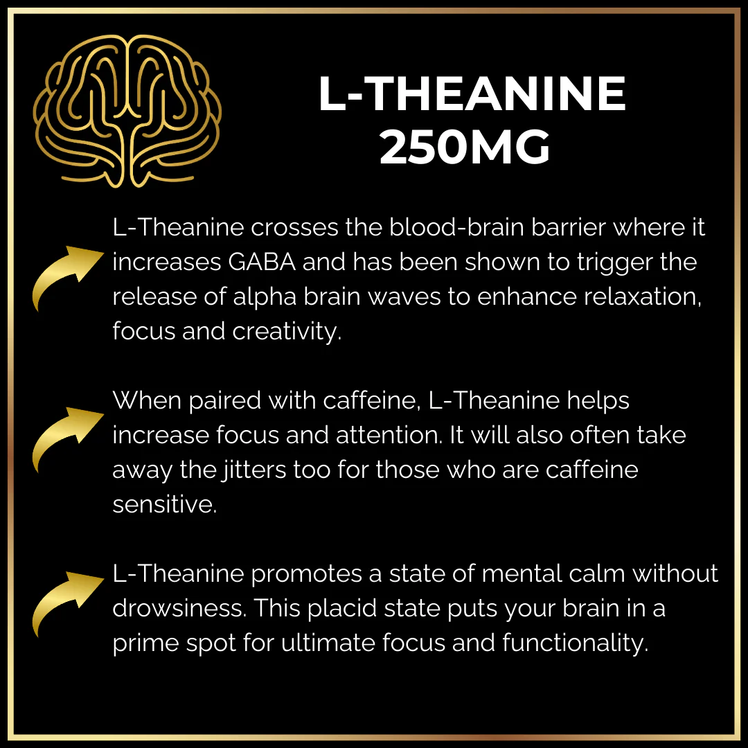 Keto Brainz Nootropics - Keto Brainz Nootropic Creamer - Image 5