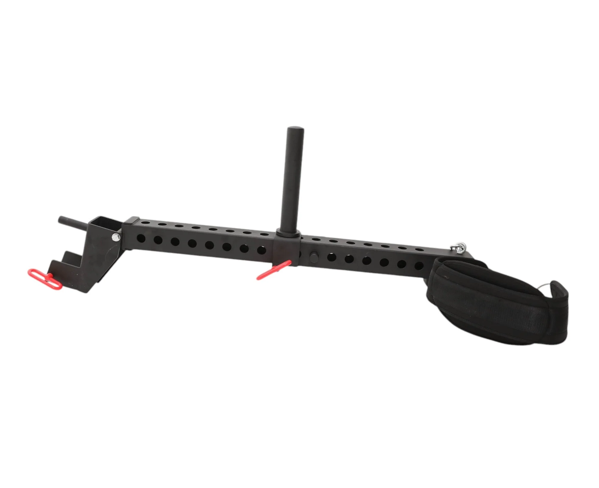 Homegrown Lifting - Rack Mounted Belt Squat