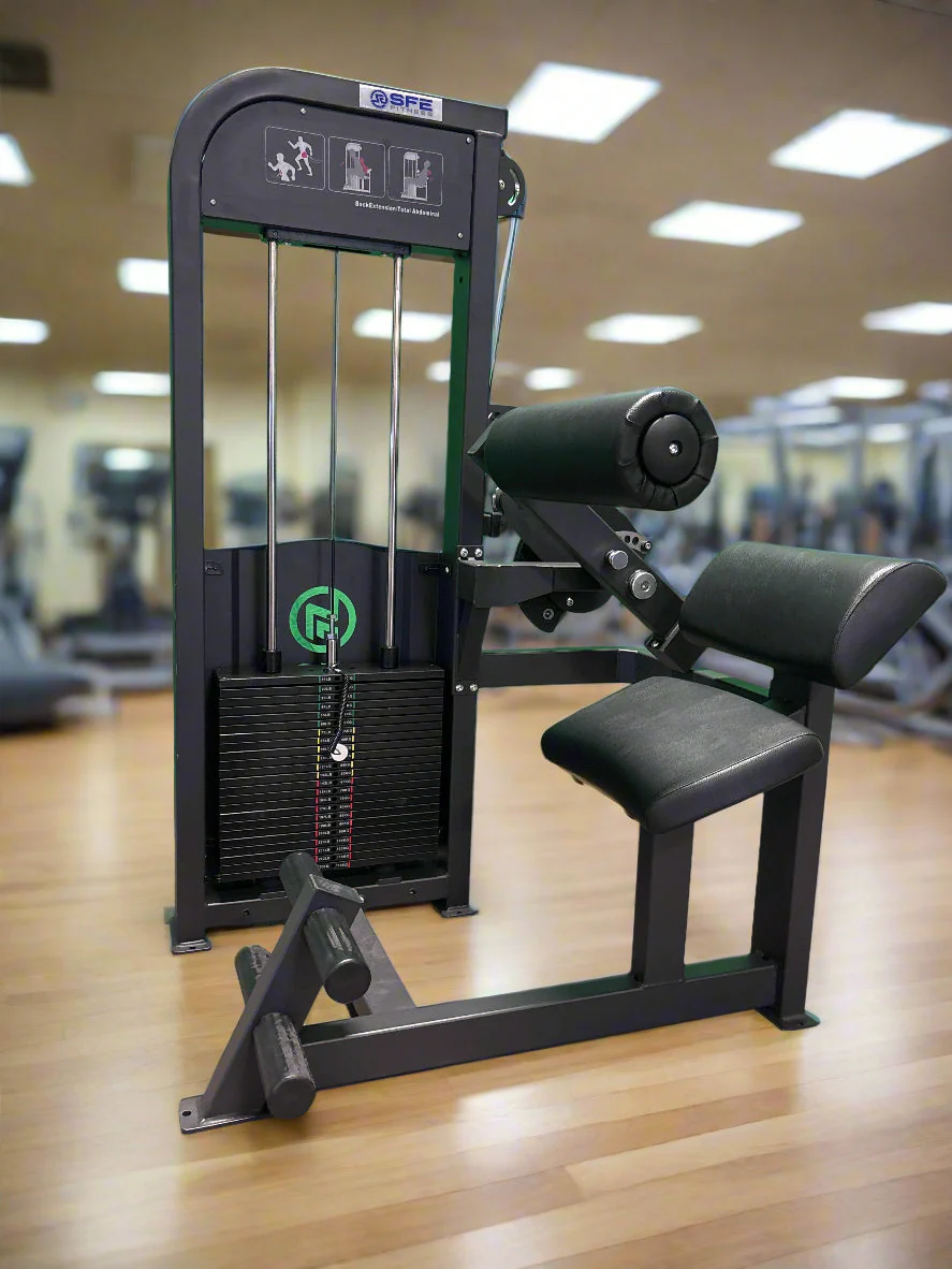 SFE - Commercial Back & Abdominal Combo Machine (New)