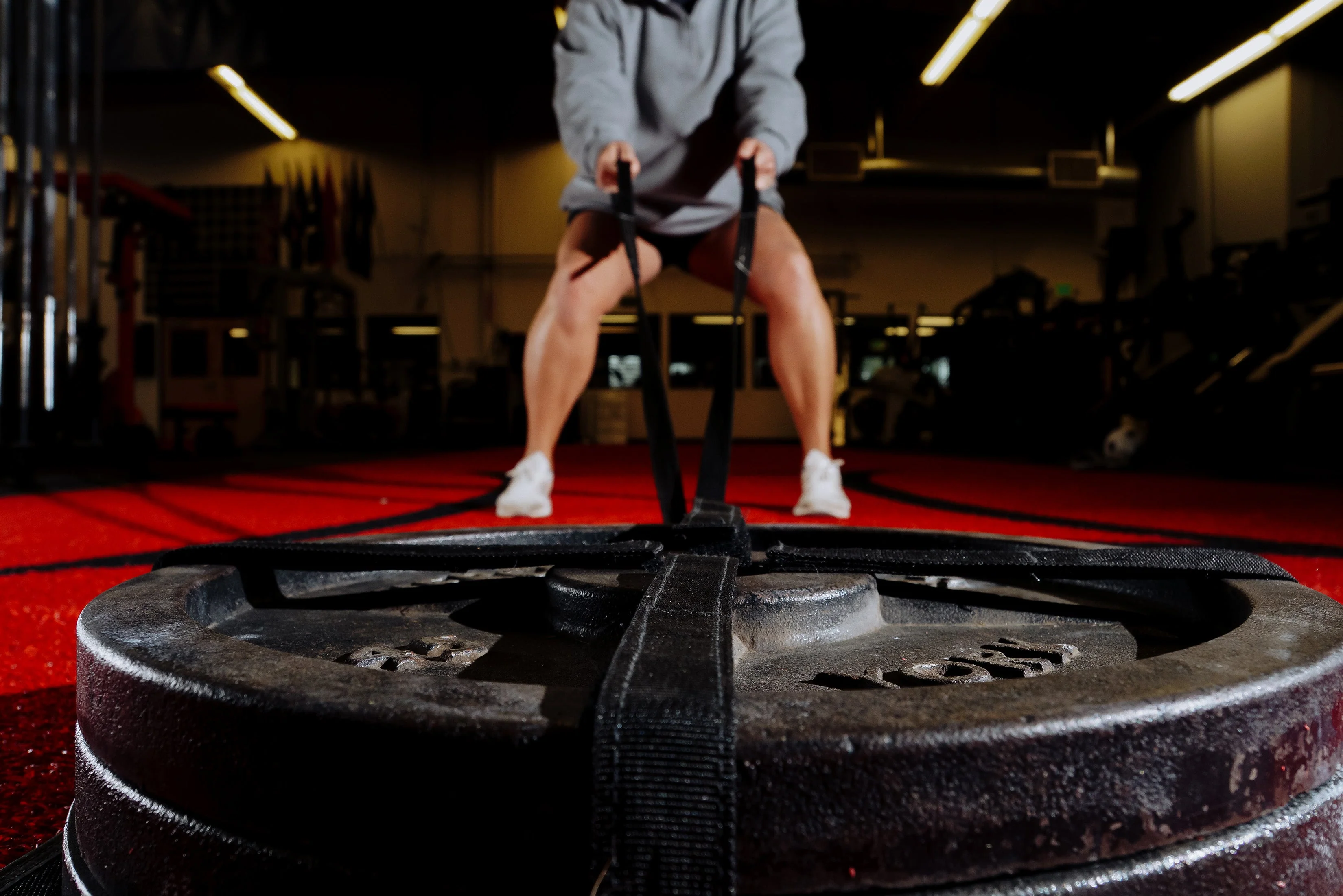 Mark Bell Sling Shot- Stealth Sled - Image 8