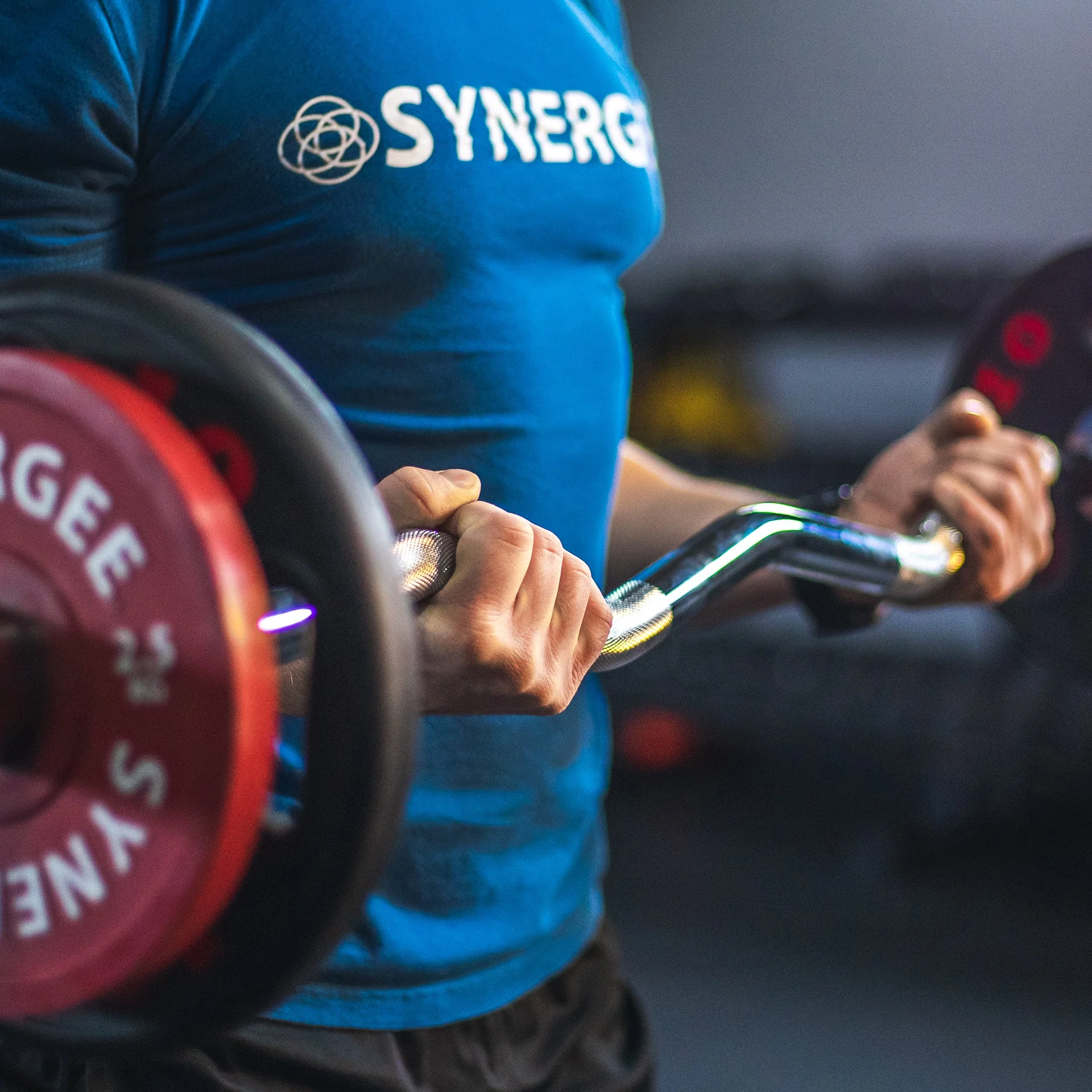 Synergee - Ez Curl Bars - Image 21