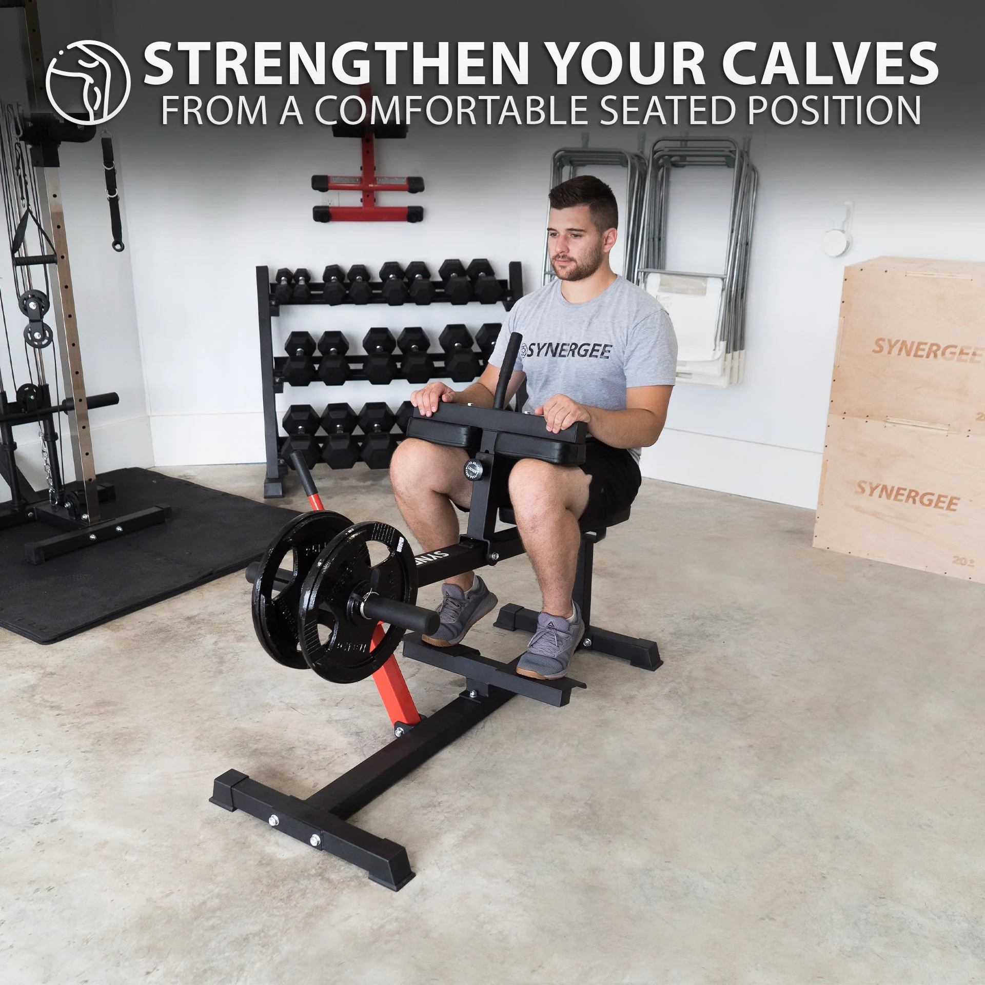Synergee - Seated Calf Raise Machine - Image 7