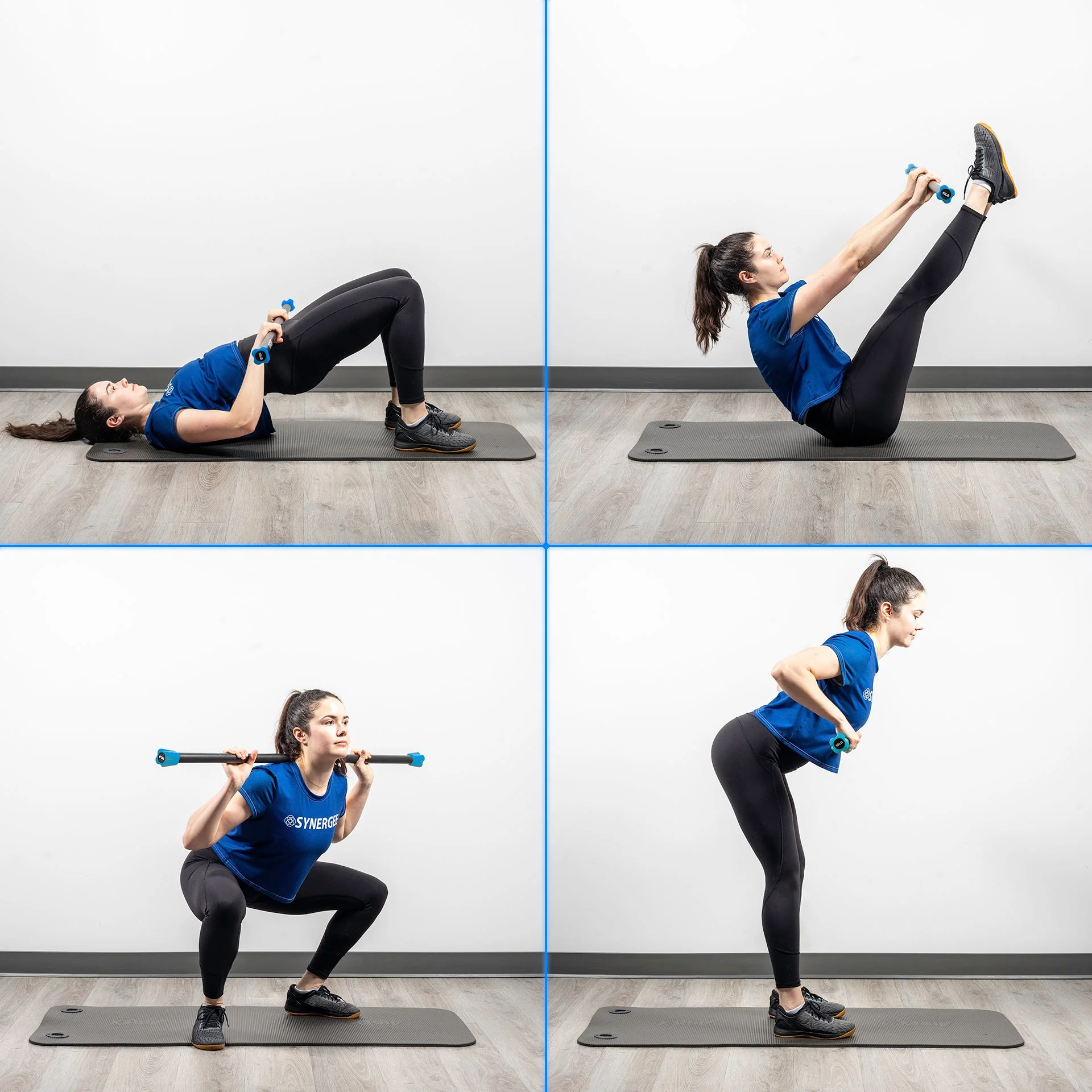 Synergee - Weighted Workout Bars - Image 46