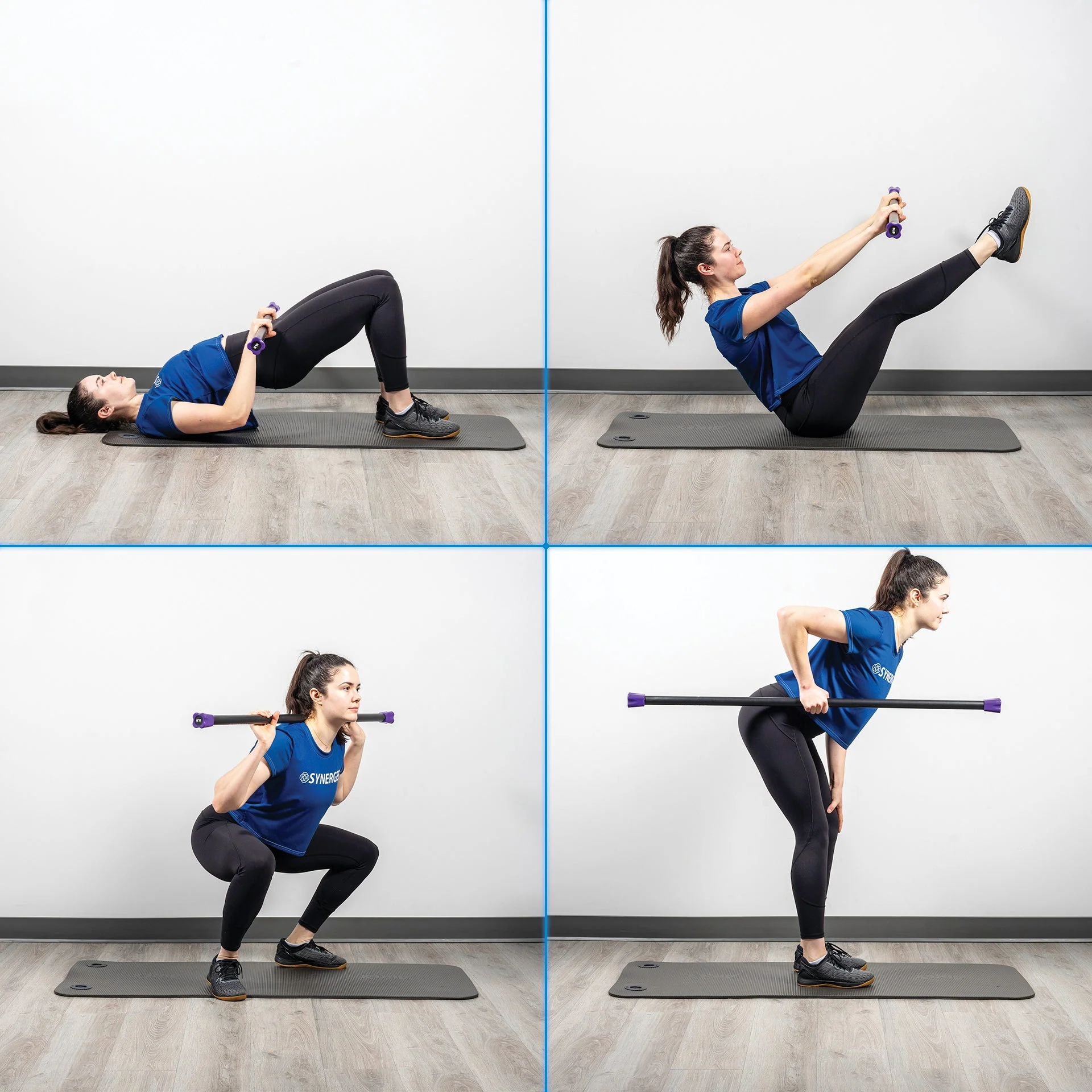Synergee - Weighted Workout Bars - Image 48