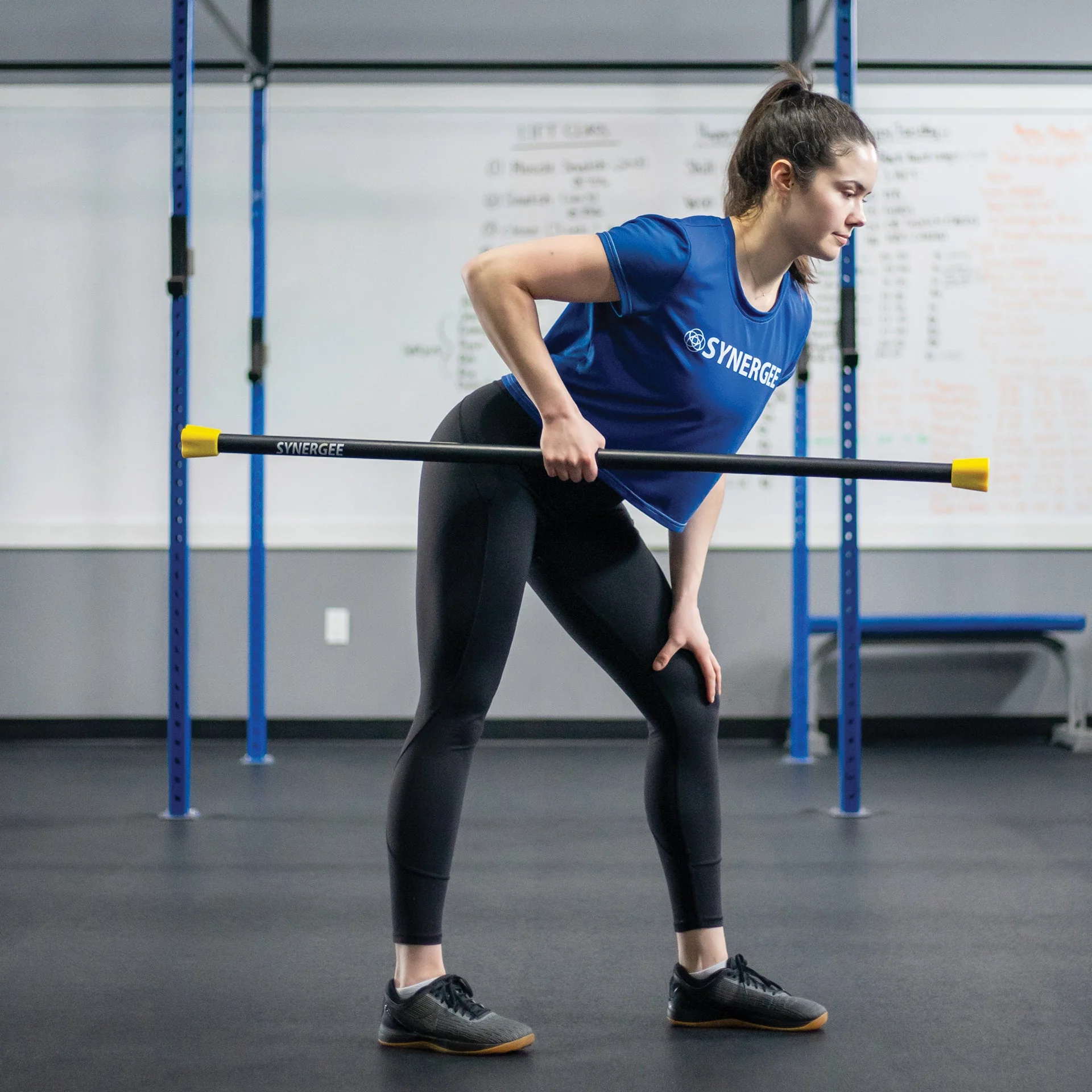 Synergee - Weighted Workout Bars - Image 55