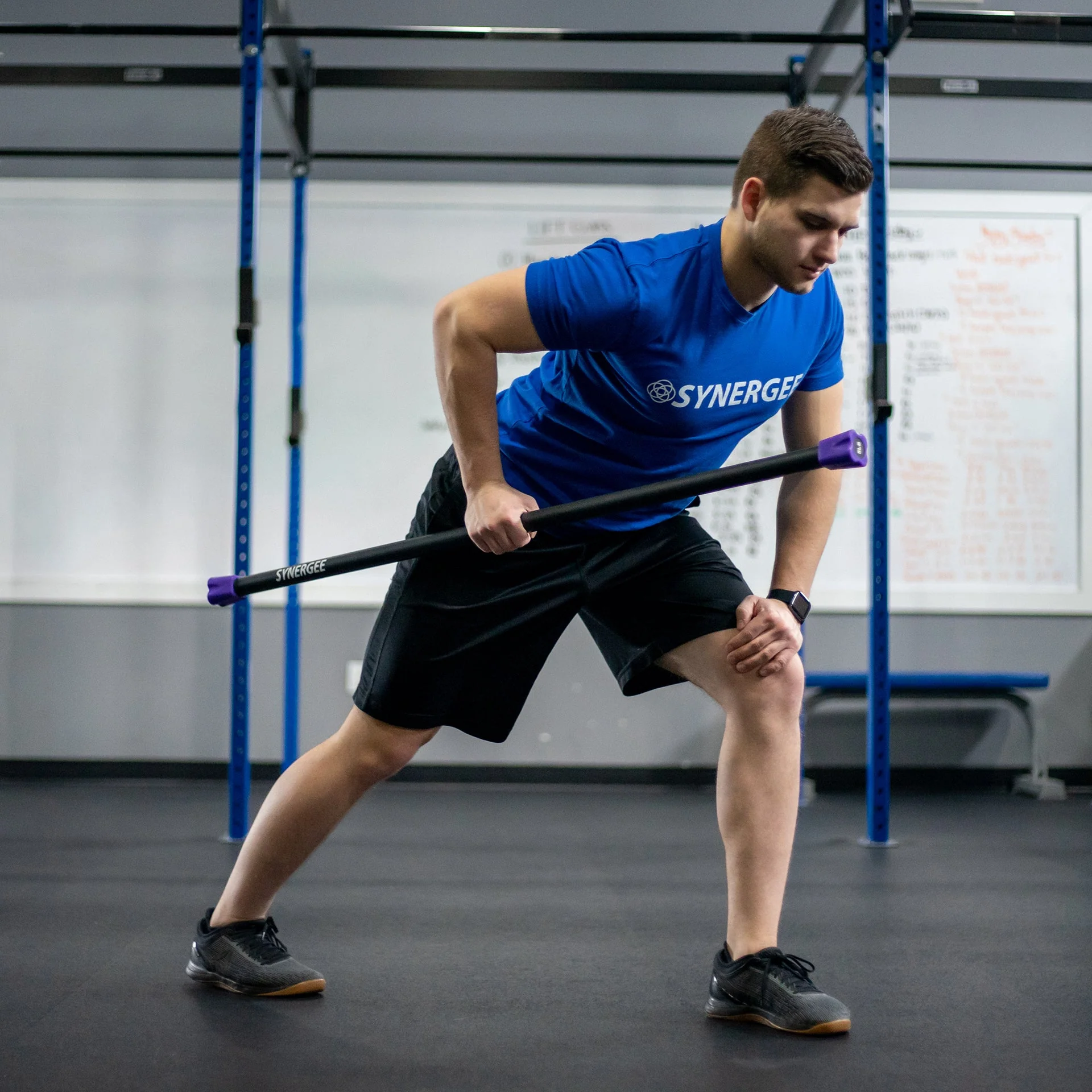 Synergee - Weighted Workout Bars - Image 68