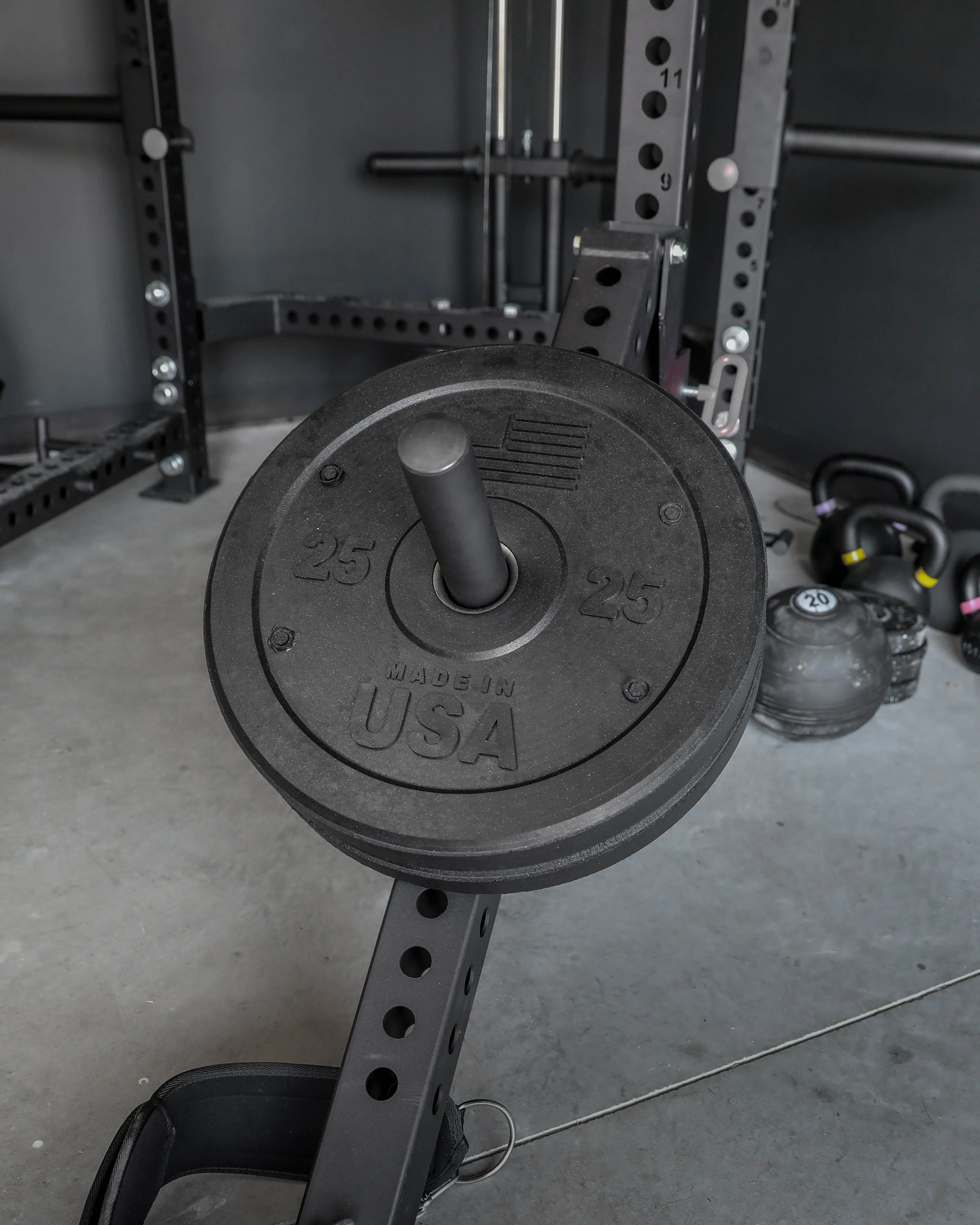 Homegrown Lifting - USA Bumper Plate Set - Image 8
