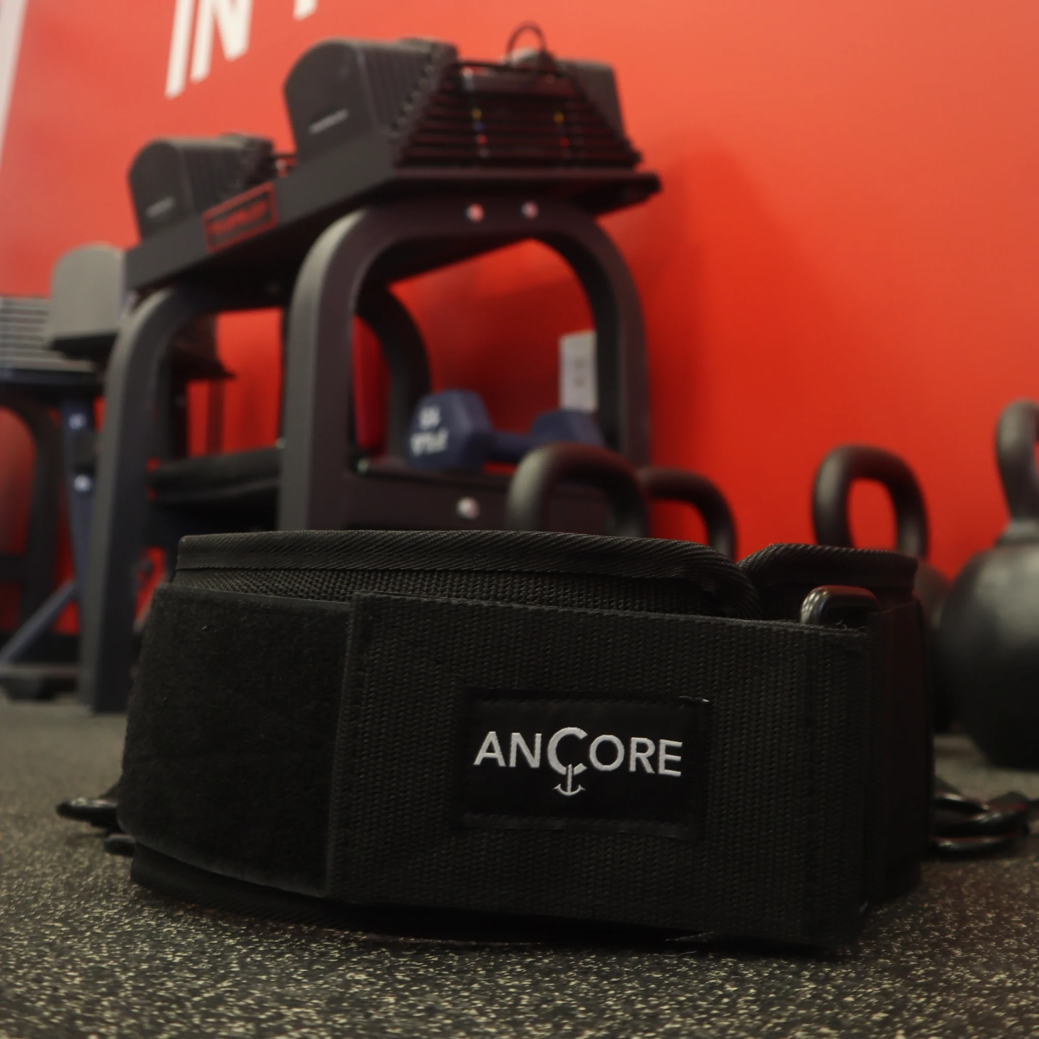 Ancore - Waist Belt - Image 6